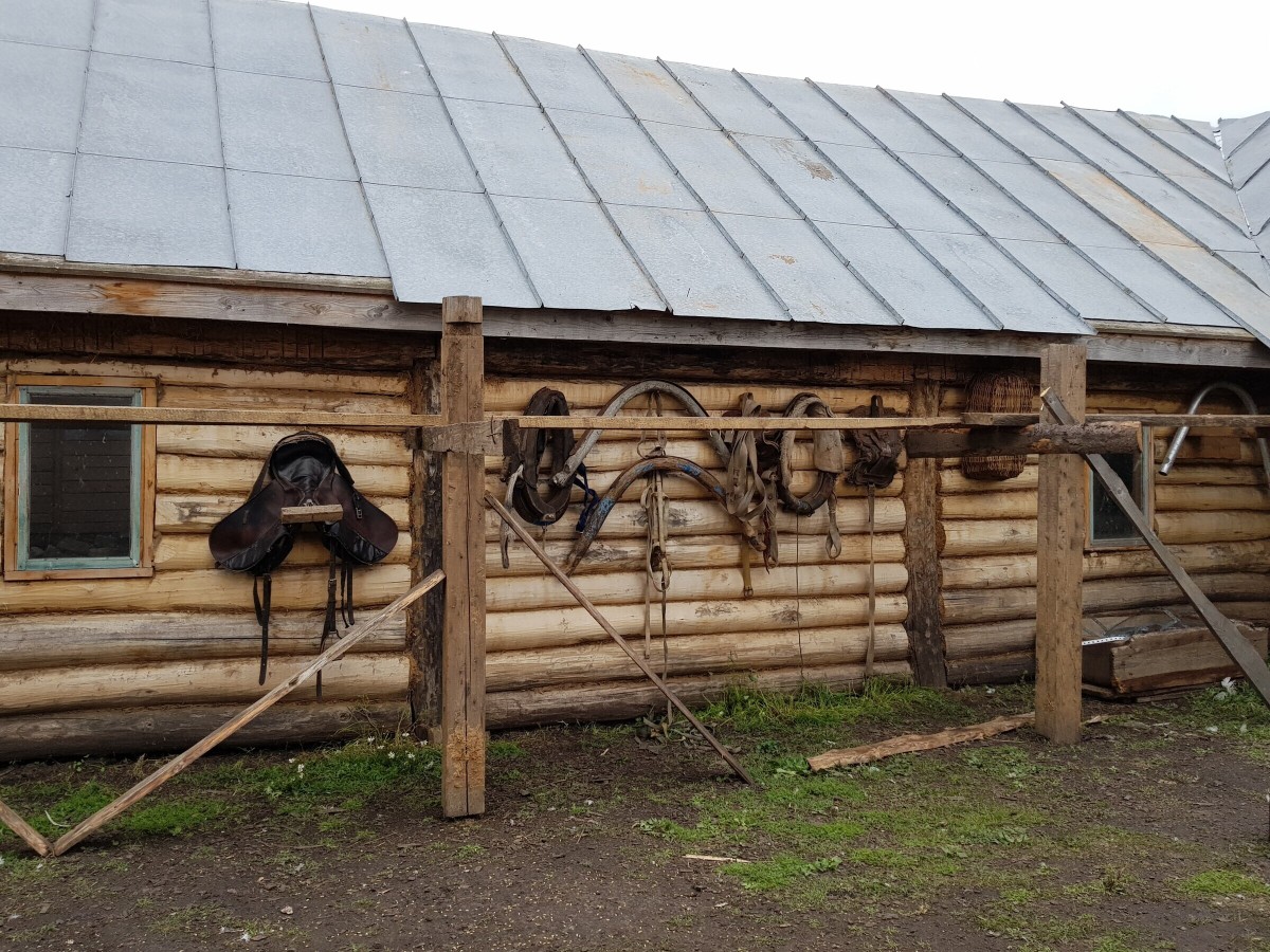Этнодеревня Татар Авылы и Свияжск — фото 12