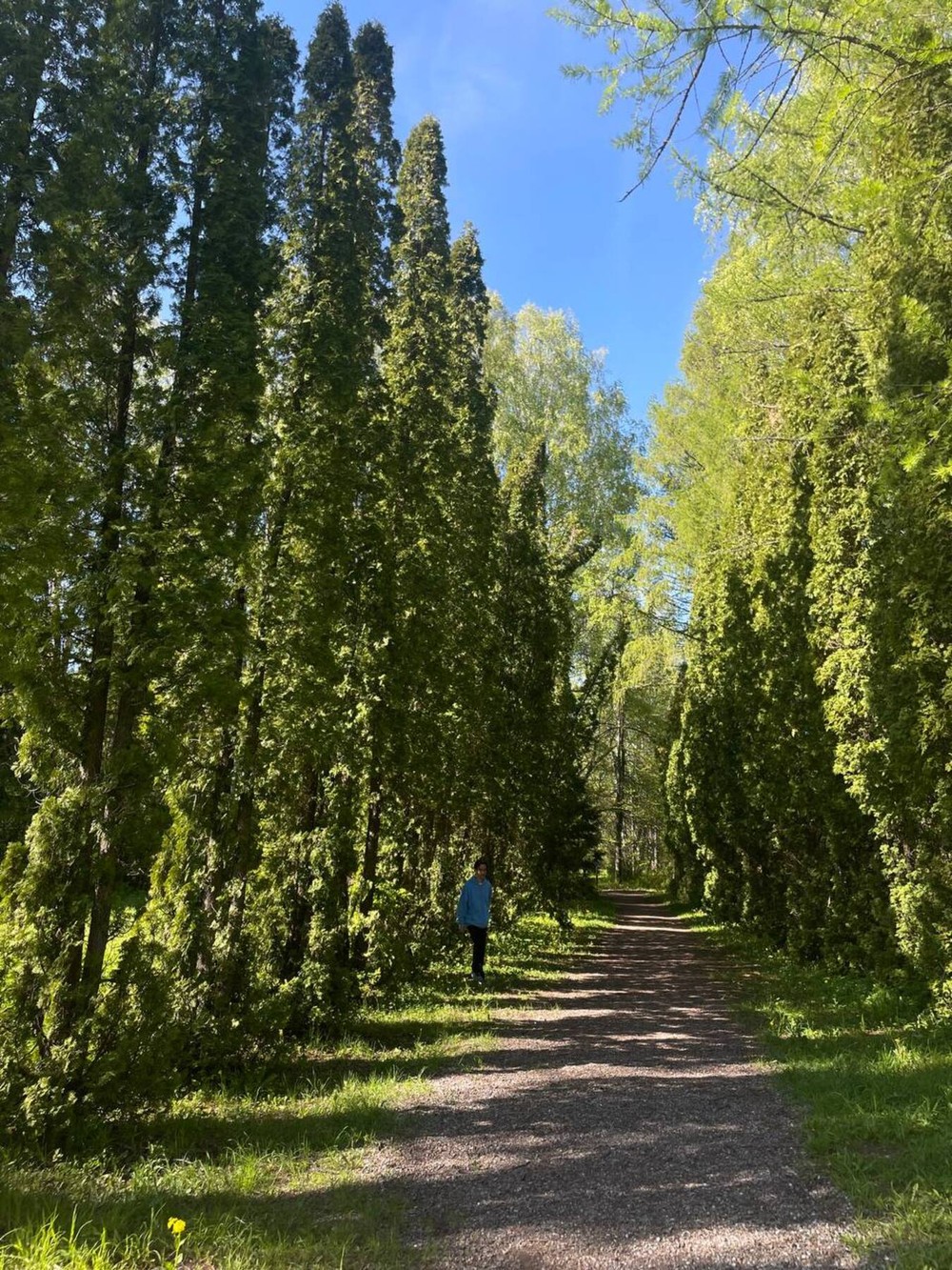 Из Казани — к Голубым озёрам, заповеднику и монастырю среди деревьев — фото 5