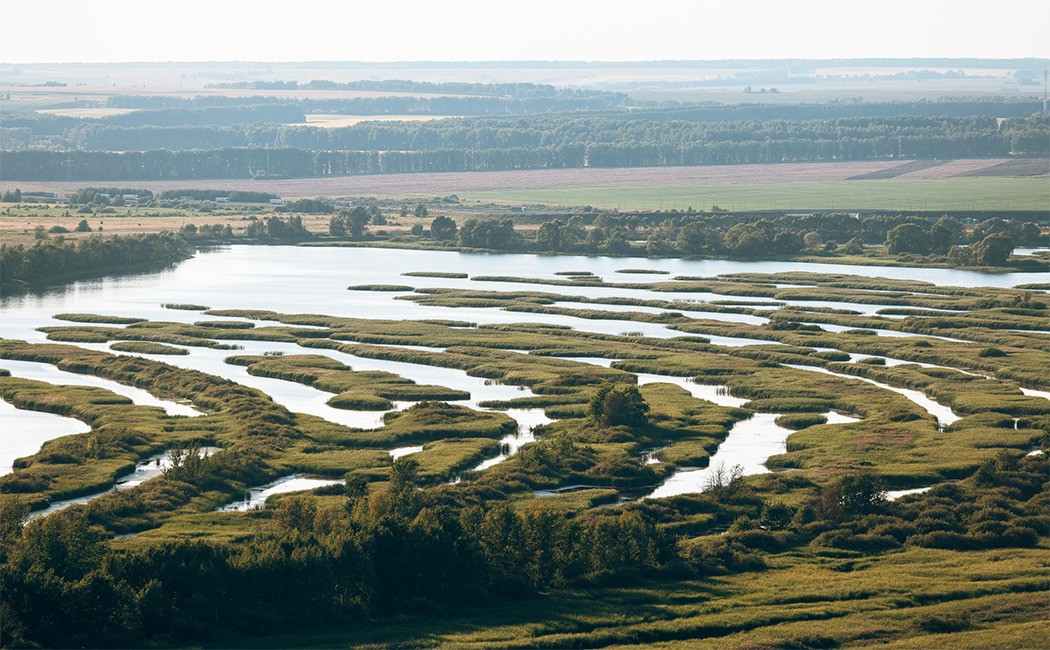 Свияжск, Тихий Плес и Иннополис: три якоря жизни — фото 9
